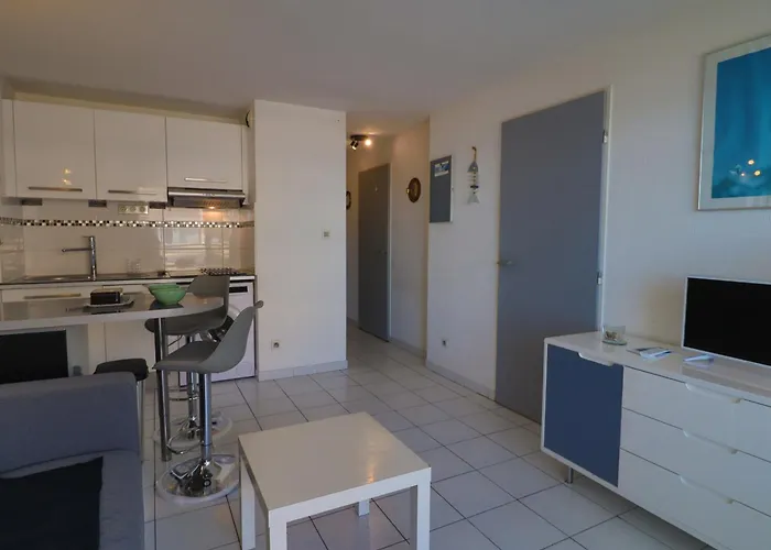 公寓 Tres Agreable T2 Renove Avec Vue - Classe 2 - Fr-1-472a-295